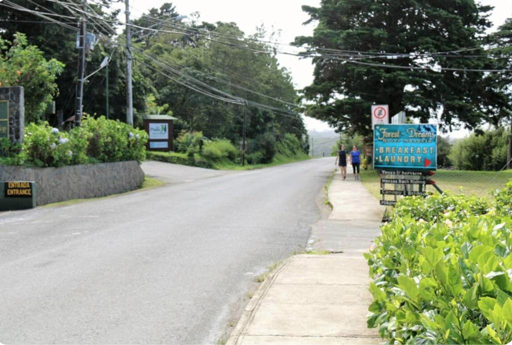 Manakin Lodge מונטה ורדה מראה חיצוני תמונה